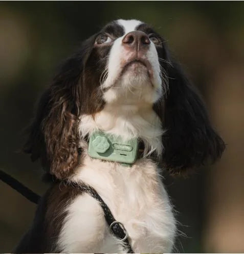 Glocalme Pet gps tracker pet phone Global tracking electronic fence