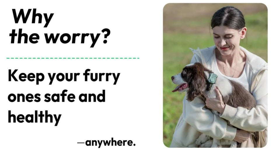 Glocalme Pet gps tracker pet phone Global tracking electronic fence